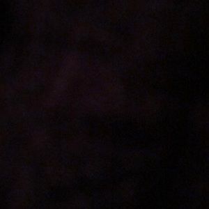 Meet your Posher, Jose